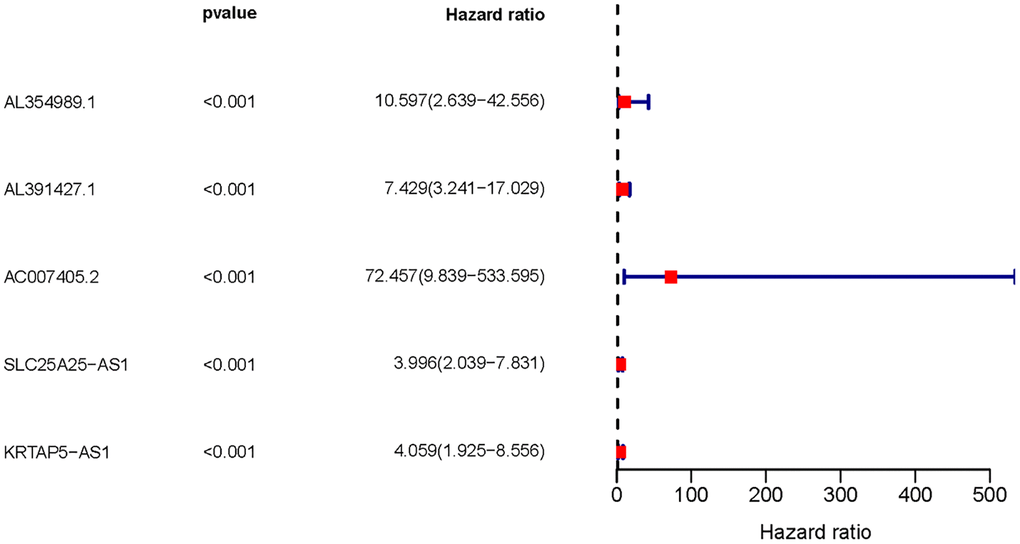 The forest plot of sARR-LncRs. The forest plot showed the hazard ratios of AL354989.1, AL391427.1, AC007405.2, SLC25A25-AS1, and KRTAP5-AS1.