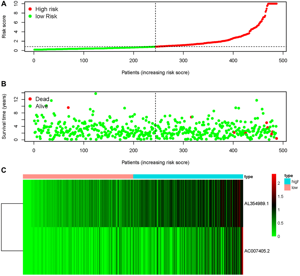 AAT resistance-related risk score model. (A) The risk score of ARR-RSM and the high-risk group were located on the right by the median risk score. (B) The survival status of PCa patients with different risk score. (C) The heatmap of expression of AL354989.1 and AC007405.2 in the ARR-RSM.