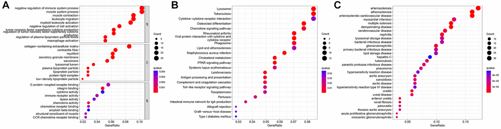 Functional analysis of differentially expressed genes (DEGs) between two N6-methyladenosine (m6A) subtypes. (A) Gene Ontology (GO) analysis. (B) Kyoto Encyclopedia of Genes and Genomes (KEGG) analysis. (C) Disease Ontology (DO) analysis.