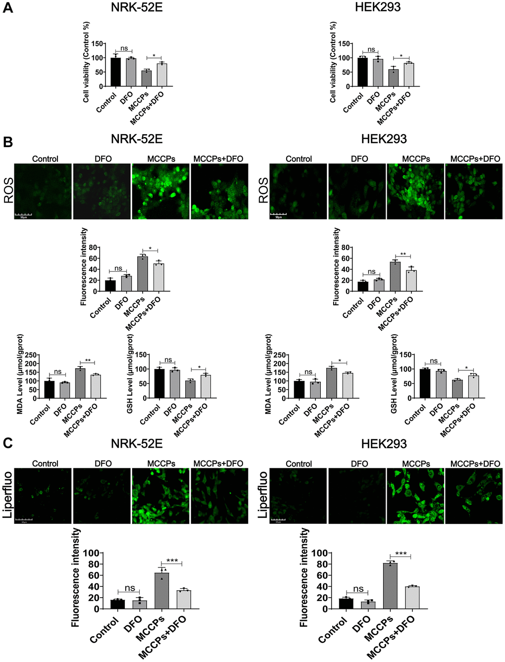 Effect of DFO on cellular damage caused by MCCPs. (A) Effect of DFO on cell viability. (B) Effect of DFO on ROS, MDA and GSH levels. (C) Effect of DFO on lipid peroxidation caused by MCCPs. p 