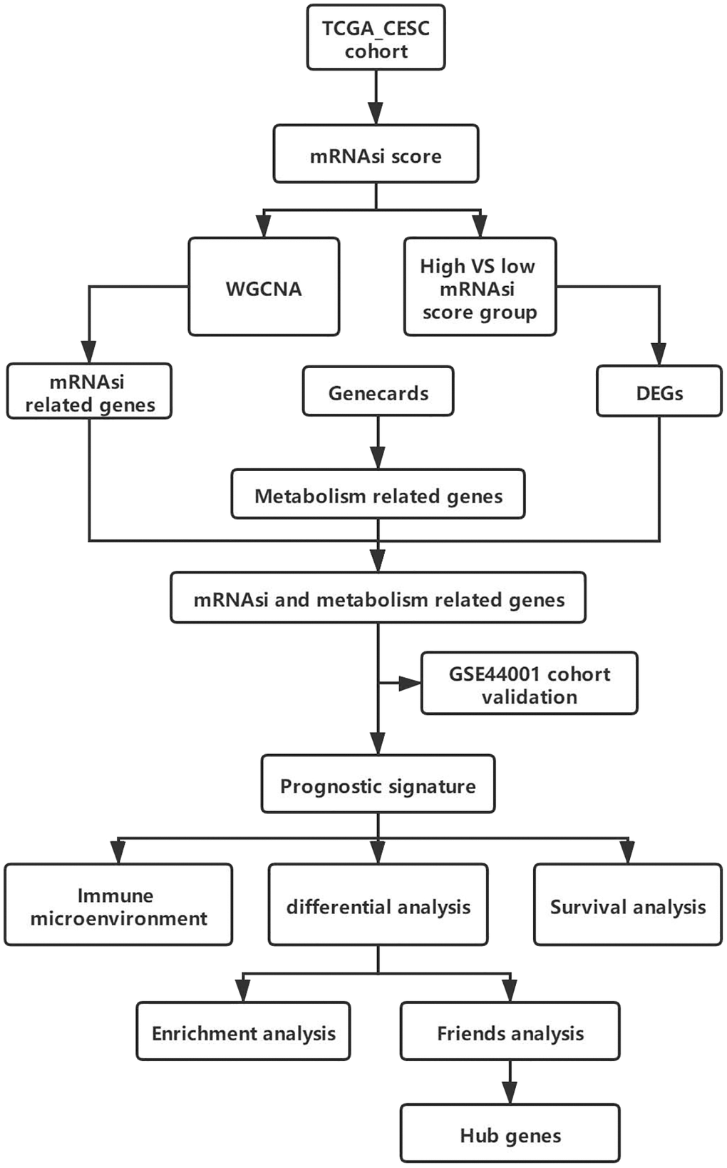 Overall experimental flow chart.