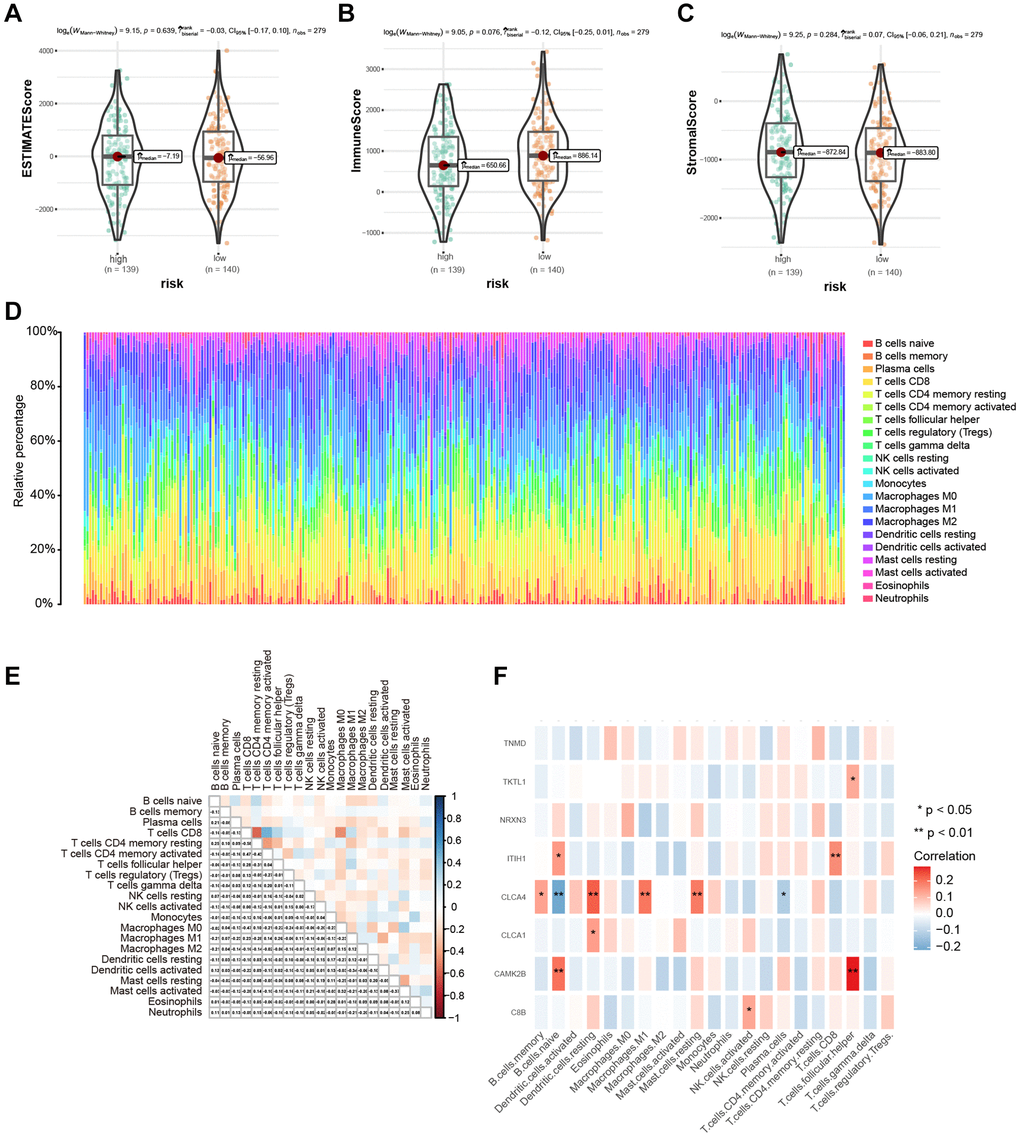 Immune microenvironment assessment based on risk score. (A–C) The difference in immune microenvironment score between different risk groups. (D) The histogram sorted according to the risk score showed the distribution of 22 immune infiltrating cells. (E) Correlation analysis of 22 kinds of immune cells. (F) Heat map of correlation between hub genes and 22 kinds of immune cell infiltrations; Red indicated positive correlation, blue indicated negative correlation, and the darker the color, the stronger the correlation. *P **P ***P 