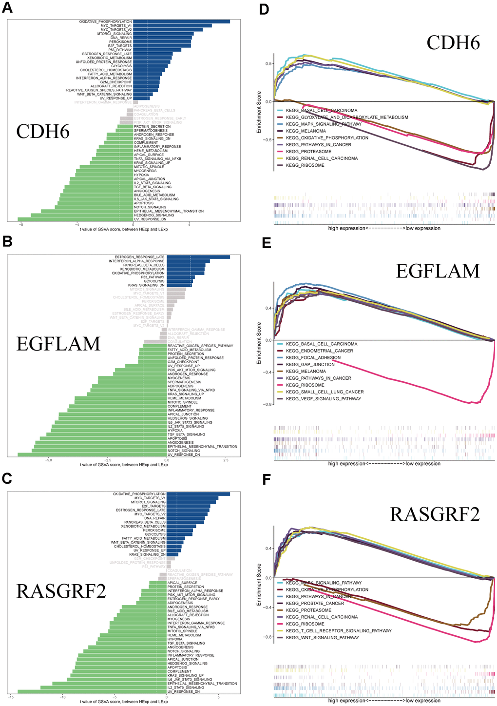 GSVA and GSEA analysis of the hub genes. (A) GSVA analysis of CDH6. (B) GSVA analysis of EGFLAM. (C) GSVA analysis of RASGRF2. (D) GSEA analysis of CDH6. (E) GSEA analysis of EGFLAM. (F) GSEA analysis of RASGRF2.