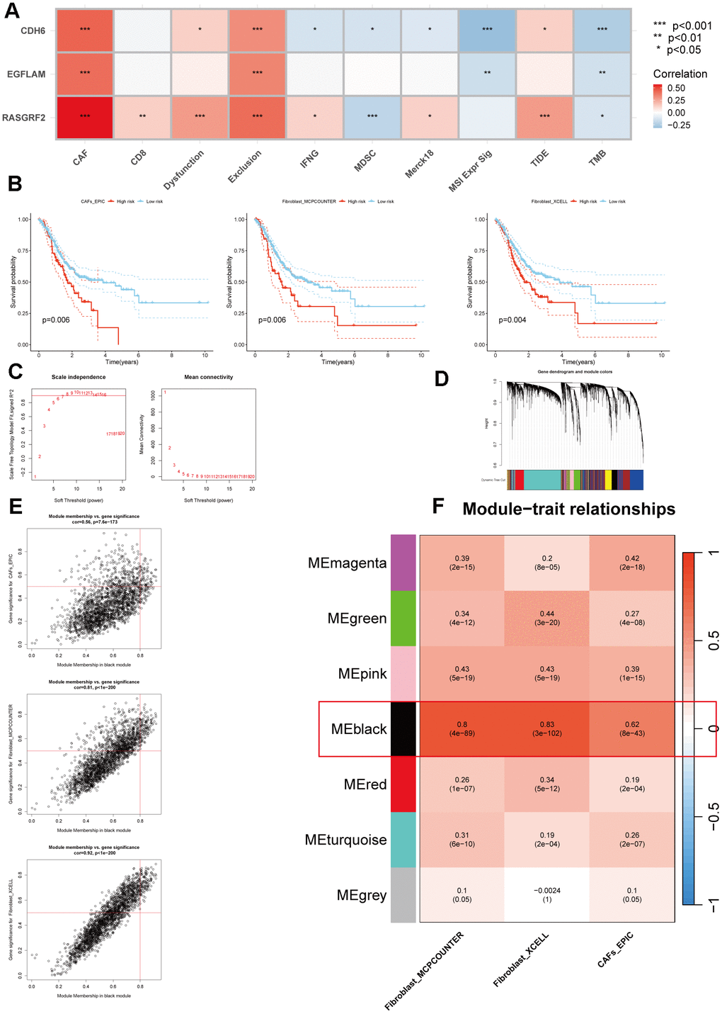 Multiple methods for identifying CAFs-associated genes related to hub genes. (A) Pearson correlation analysis of hub genes with immunotherapy-related indicators. (B) The Kaplan-Meier survival analysis of CAFs scores was calculated using three methods (p=0.006, p=0.006, and p=0.004, respectively). (C) Scale independence and mean connectivity analysis. (D) Cluster dendrogram among modules. (E) Scatterplot of MM and GS from the black module. (F) Module-trait relationships. *p 