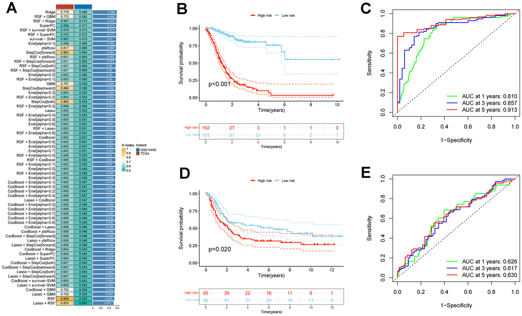 Establishment and validation of CAFs risk model in STAD through a combination of 10 machine learning approaches. (A) A c-index ranking map of 10 machine learning combinatorial models. (B) Kaplan-Meier survival analysis of risk models for CAFs in the TCGA