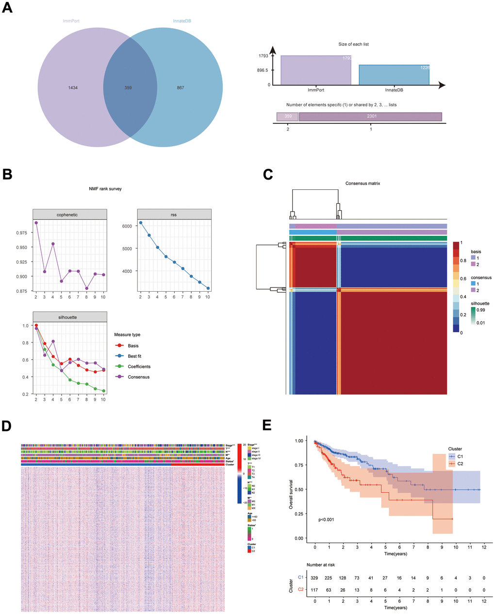 Results of NMF clustering analysis. (A) Venn diagram of IRGs in ImmPort database and InnateDB database; (B) Rss, dispersion, and cophenetic plots of the number of screened NMF clusters; (C) Consensus diagram of NMF clustering of IRGs; (D) Distribution of IRGs and clinical traits in immune subgroups; (E) KM survival curves for immune subgroups.