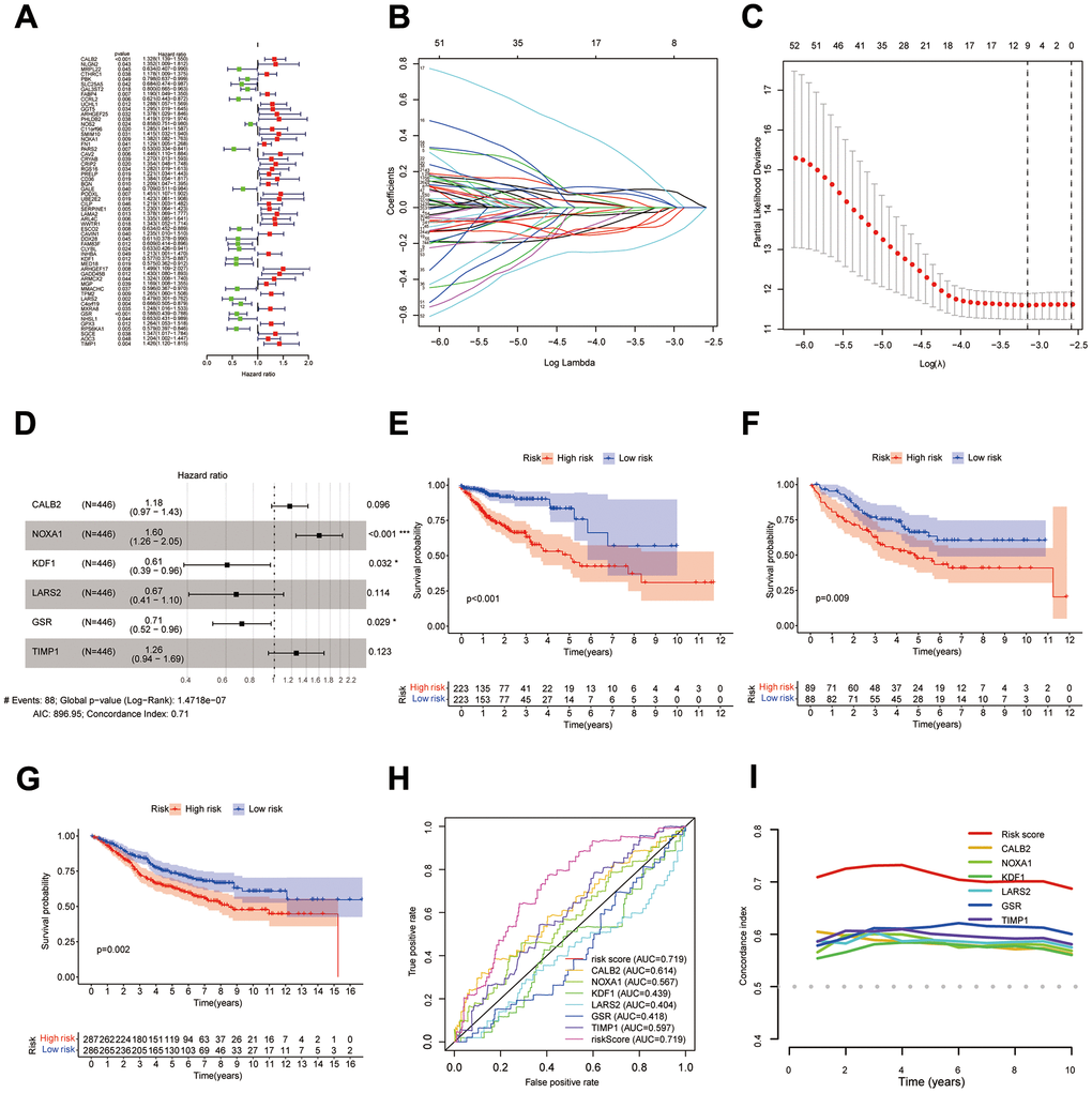 Construction of DPM. (A–D) Results of univariate Cox, LASSO, and multivariate Cox analyses of DEIGRC; (E–G) KM survival curves for the COAD patients from UCSC Xena database, GSE17536 and GSE39582 datasets; (H, I) ROC curves and C-indexes compare predictive efficacy of DPM with those of the genes used to construct the model.