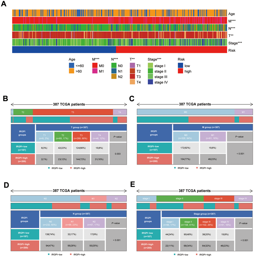 Results of differential analysis of clinical traits between subgroups. (A) Distribution of clinical traits between subgroups; (B–E) Results of differential analysis of T-stage, M-stage, N-stage, and stage between subgroups.