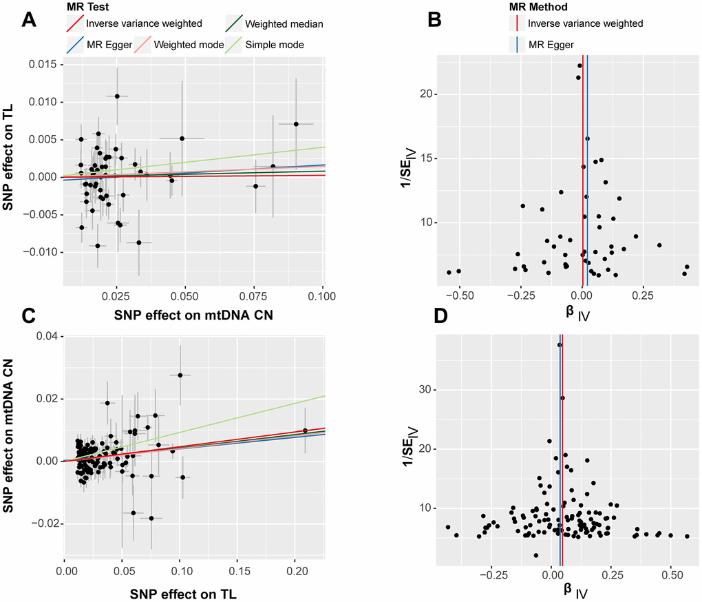 Scatter plot (left) and funnel plot (right) for bidirectional Mendelian randomization (MR) analyses. The results labeled (A, B) correspond to the outcomes of the forward MR analysis, while (C, D) represent the findings from the reverse MR analysis. Each point represents an included SNP in the MR analysis, and the color of the lines corresponds to the methods described in the legend.