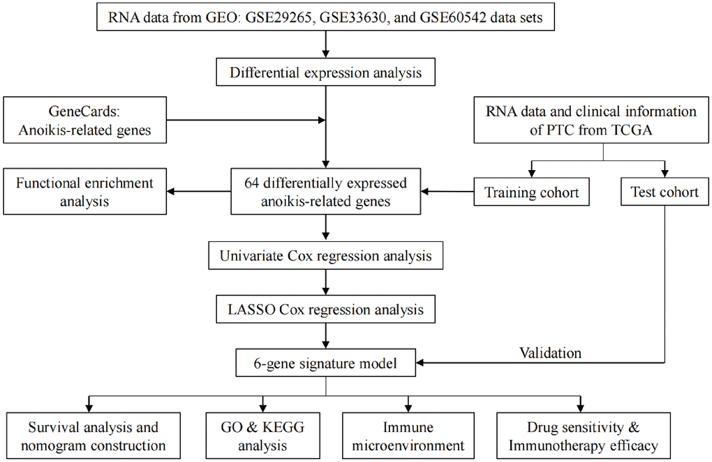 Flow chart of the current study.