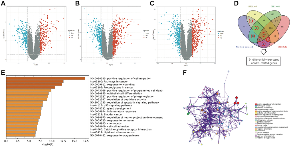 Overview of the differentially expressed anoikis-related genes in PTC. (A–C) Volcano plots of differentially expressed gens (DEGs) between PTC and normal tissues in GSE29265, GSE33630, and GSE60542. (D) Venn diagram showing the dysregulated anoikis-related genes common to the four datasets. (E) Bar graph showing the GO and KEGG analysis. (F) PPI network showing the distribution and relationship of the different enriched functions.