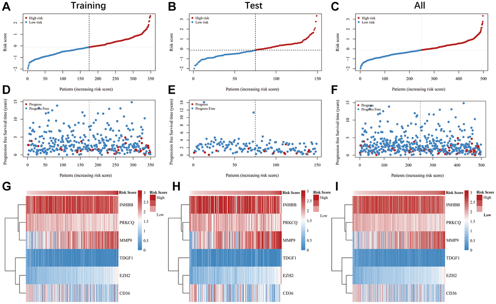 Verification of the anoikis-related genes signature was conducted in the training, test, and overall cohorts. (A–F) Dot plots illustrating the survival and risk score for the training, test, and overall cohorts. (G–I) The heatmaps of six anoikis-related genes in the training, test, and overall cohorts.