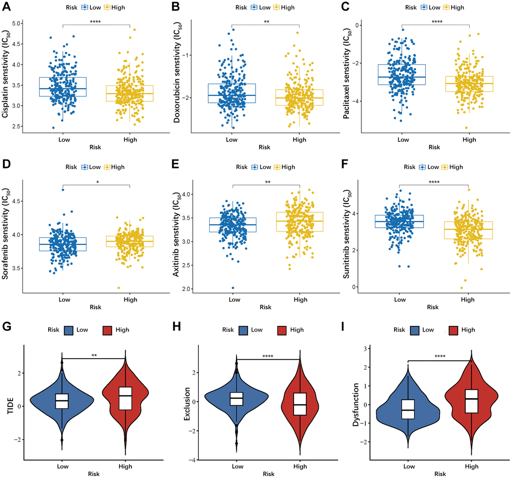 Evaluation the value of the anoikis-related prognostic model in drug sensitivity and immunotherapy. (A–F) Correlation between risk score and drug sensitivity. (G–I) Differences in TIDE, Exclusion, and Dysfunction between low- and high-risk groups. *P **P ***P ****P 