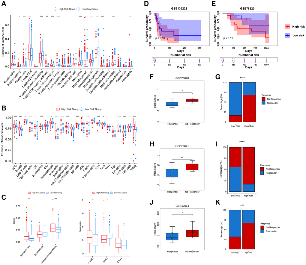 Relevance between tumour immune infiltration and PRERGs risk signature. (A) Fraction of immune-related cells in the high- or low-risk group. (B) Activity score of immune-related cells in the high- or low-risk group. (C) Immune score, stromal score, microenvironment score, and three immune checkpoint expressions in the high- or low-risk group. (D, E) Kaplan-Meier survival curves were portrayed to show the survival difference in the high- or low-risk group in the GSE135222 and GSE78820 datasets. (F, G) Boxplot shows the risk scores of CR/PR and SD/PD groups in the GSE78820 dataset. The barplot shows the distribution of high- or low-risk groups in CR/PR and SD/PD groups. (H, I) Boxplot shows the risk score of the response and no-response groups in the GSE79671 dataset. The barplot shows the distribution of high- or low-risk groups in the response and no-response groups. (J, K) Boxplot shows the risk score of CR/PR and SD/PD groups in the GSE42664 dataset. The barplot shows the distribution of high- or low-risk groups in CR/PR and SD/PD groups. Abbreviations: CR: complete response; PR: partial response; SD: stable disease; PD: progressive disease. *P-value **P-value ***P-value ****P-value 