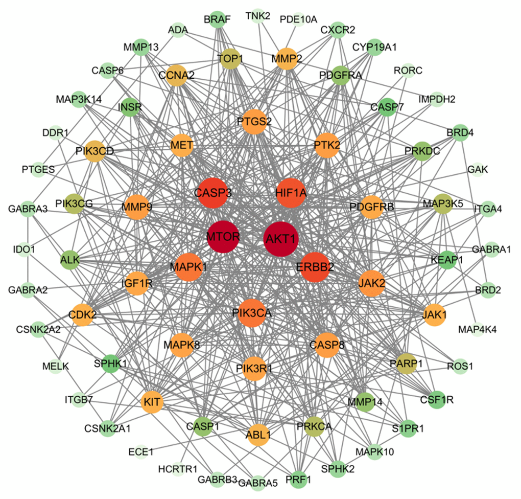 Key target of small molecule drug X5 and autophagy.