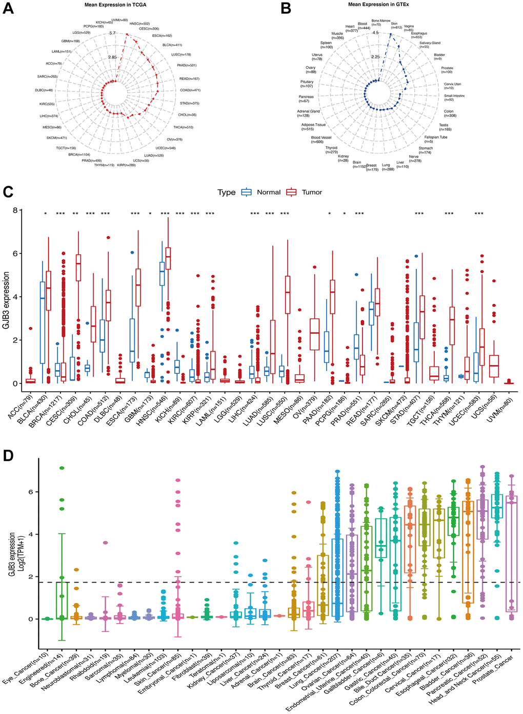 The level of GJB3 mRNA expression was assessed in a variety of human cancers and normal tissues. (A) The level of GJB3 expression in tumor tissues from TCGA database. (B) Level of GJB3 expression in normal tissues from the GTEx database. The dots represent the mean value of GJB3 expression. (C) Analysis of GJB3 expression in matched tumor tissues and normal tissues using data from the TCGA database. (D) The levels of GJB3 expression in tumor cell lines from the CCLE database (*P **P ***P ****P 