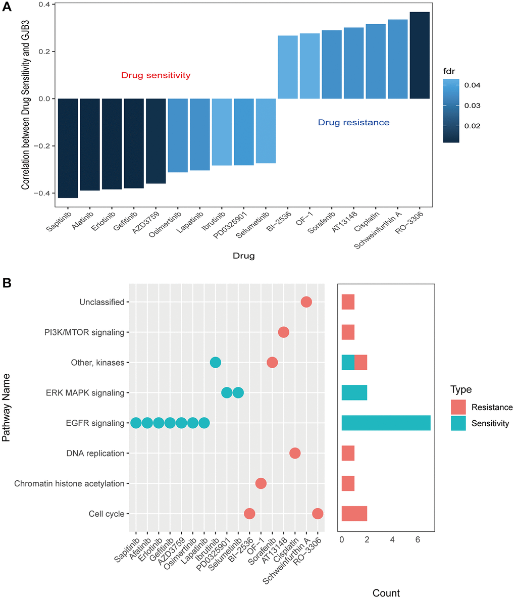 Drug sensitivity and expression of GJB3. (A) A graph showing the relationship between GJB3 expression and drug sensitivity as calculated by the Spearman algorithm. In each column, the color indicates the fdr, while the height indicates the correlation coefficient. (B) This graph visualizes the signaling pathways targeted by GJB3-sensitive and GJB3-resistant drugs. Right: a bar plot representing the number of drugs targeting each pathway.