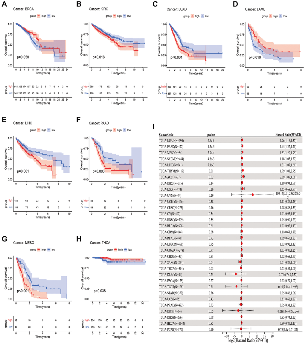 A comparison of OS prognosis in various types of cancers according to GJB3 expression. (A–H) In the Kaplan-Meier curves, GJB3 expression is correlated with OS expression. (I) Forest plot demonstrating the association between GJB3 and OS.