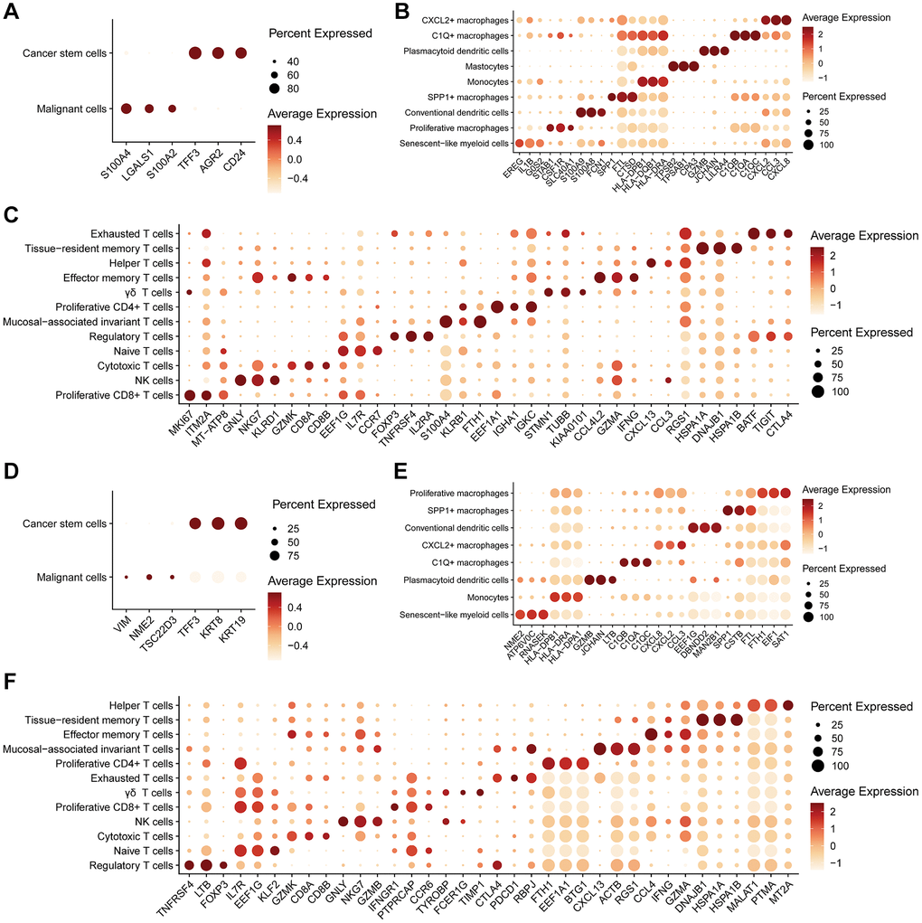 Expression levels of markers in different cell subtypes. (A–C) Bubble plots illustrate the expression levels of the top 3 markers in subtypes of epithelial cells (A), myeloid cells (B), and NK/T cells (C) in primary colorectal cancer tissues. (D–F) Bubble plots depict the expression levels of the top 3 markers in subtypes of epithelial cells (D), myeloid cells (E), and NK/T cells (F) in liver metastasis colorectal cancer tissues.