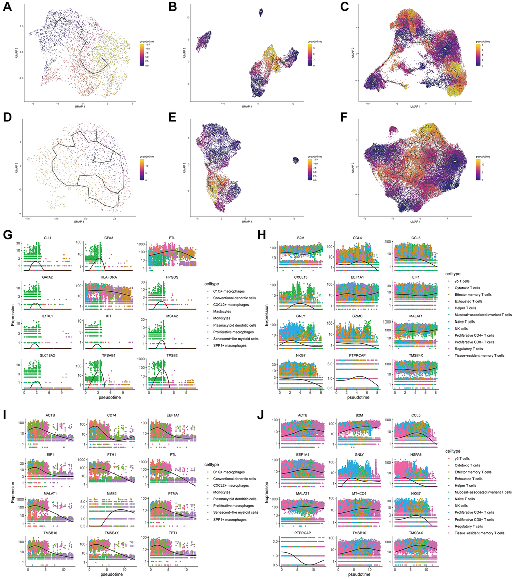 Results of cell differentiation trajectory inference based on monocle3. (A–C) Pseudotime cell differentiation trajectory plots for subtypes of epithelial cells (A), myeloid cells (B), and NK/T cells (C) in primary colorectal cancer tissues. (D–F) Pseudotime cell differentiation trajectory plots for subtypes of epithelial cells (D), myeloid cells (E), and NK/T cells (F) in liver metastasis colorectal cancer tissues. (G, H) Pseudotemporal expression trends of specific development-related genes in myeloid cells (G) and NK/T cells (H) in primary colorectal cancer tissues. (I, J) Pseudotemporal expression trends of particular development-related genes in myeloid cells (I) and NK/T cells (J) in liver metastasis colorectal cancer tissues.