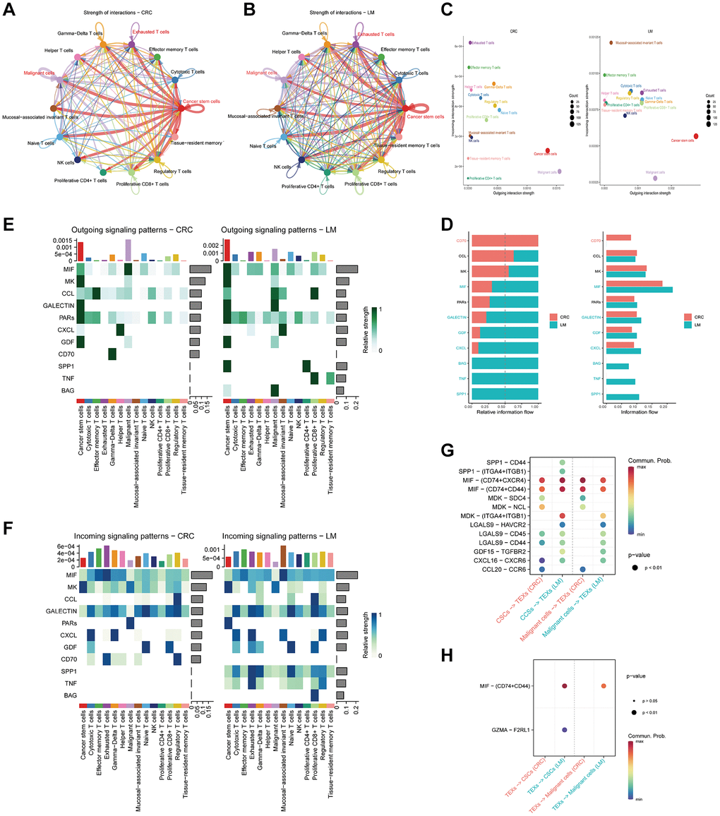 Cell communication in various NK/T cell subtypes. (A, B) Representation of cell communication networks among different NK/T cell subtypes in primary (A) and liver metastasis (B) colorectal cancer tissues. (C) Application of bubble plots to depict the strength of cell communication outgoing and incoming signals. (D) Comparative assessment of signal strength from distinct secreted factors. (E, F) Heatmaps delineating the intensity of diverse outgoing (E) and incoming (F) signal patterns within NK/T cell subtypes. (G) Visualization of bubble plots highlighting the signal strength of ligand-receptor pairs involved in interactions between malignant cells and tumor stem cells with TEXs subtypes. (H) Exhibition of bubble plots displaying the signal strength of ligand-receptor pairs during the interactions of TEXs subtypes with malignant cells and tumor stem cells.