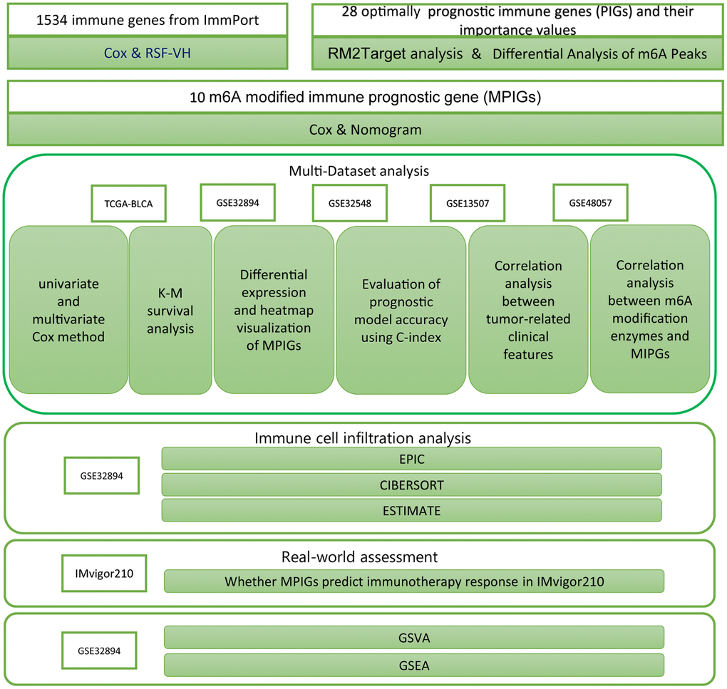 The workflow diagram delineates the methodologies and resources employed in this investigation.