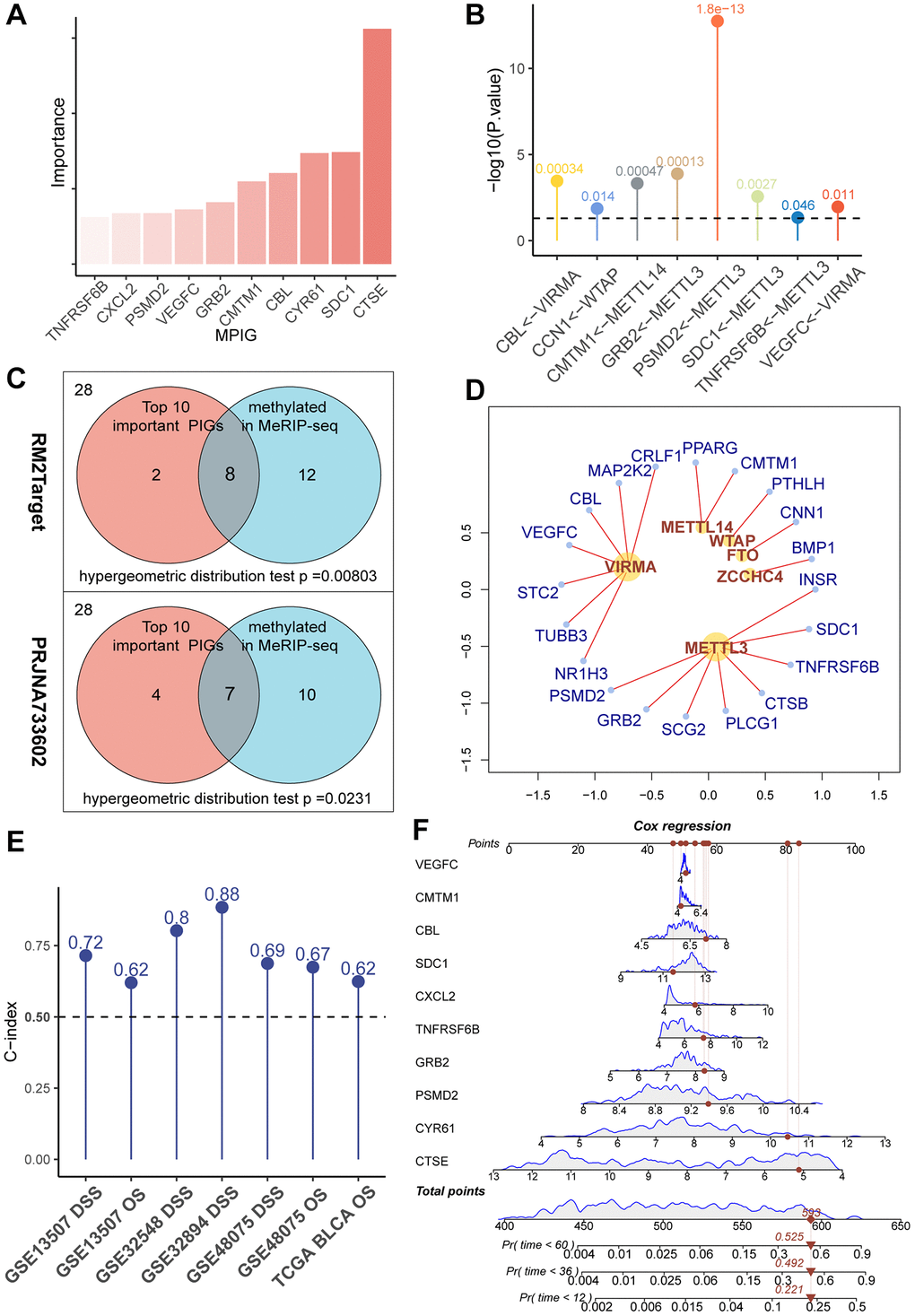 (A) A bar chart showcasing the “importance” of MPIGs arranged in descending order, derived from a random forest analysis. Greater importance of a variable indicates a larger discrepancy in prediction accuracy between models with and without the variable. (B) A balloon plot demonstrates significant regulatory relationships between WERs and corresponding MPIGs proven by perturbation experiments from RM2Target database. (C) Venn diagrams highlight that out of 28 PIGs identified in malignant cell lines from the RM2Target database through MeRIP-seq analysis, 20 exhibit significant m6A methylation modifications. Among the top 10 PIGs (MPIGs) for importance, 8 are methylated. Hypergeometric distribution tests suggest a propensity for m6A methylation in PIGs associated with prognosis. Further, in the PRJNA733602 dataset, 7 out of the top 10 most important PIGs show enhanced m6A peak differences, underscoring a correlation between prognostic relevance and increased m6A modification levels. (D) A network diagram reveals the regulatory relationships between WERs and their regulated PIGs within the RM2Target database. (E) Balloon plots display the predictive performance of Cox models constructed with MPGs for UC prognosis across multiple datasets, as indicated by the C-index. (F) A nomogram drawn from Cox models based on MPGs in the GSE32894 dataset, illustrating individual patient scores and their corresponding survival probabilities.