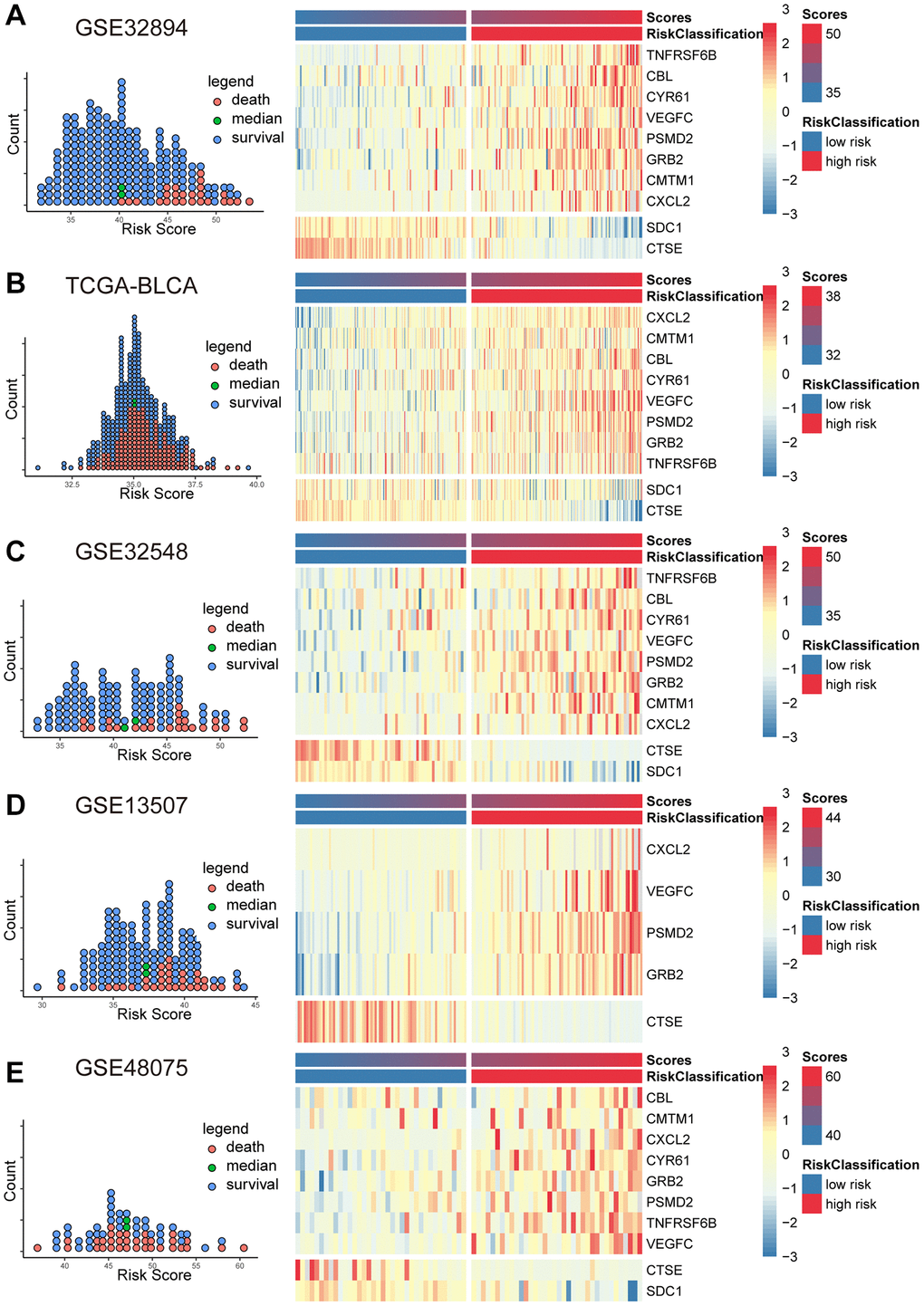 The scatter plots (A–E) on the left illustrate the distribution of death events across risk scores derived from MPIGs. The heatmap (A–E) on the right displays the specific upregulation or downregulation of MPIGs expression across different risk groups.