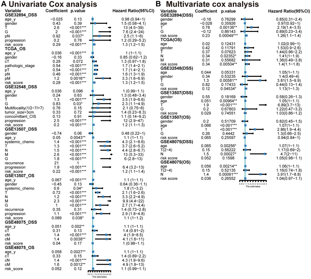 Univariate (A) and multivariable (B) Cox analyses conducted across various datasets.