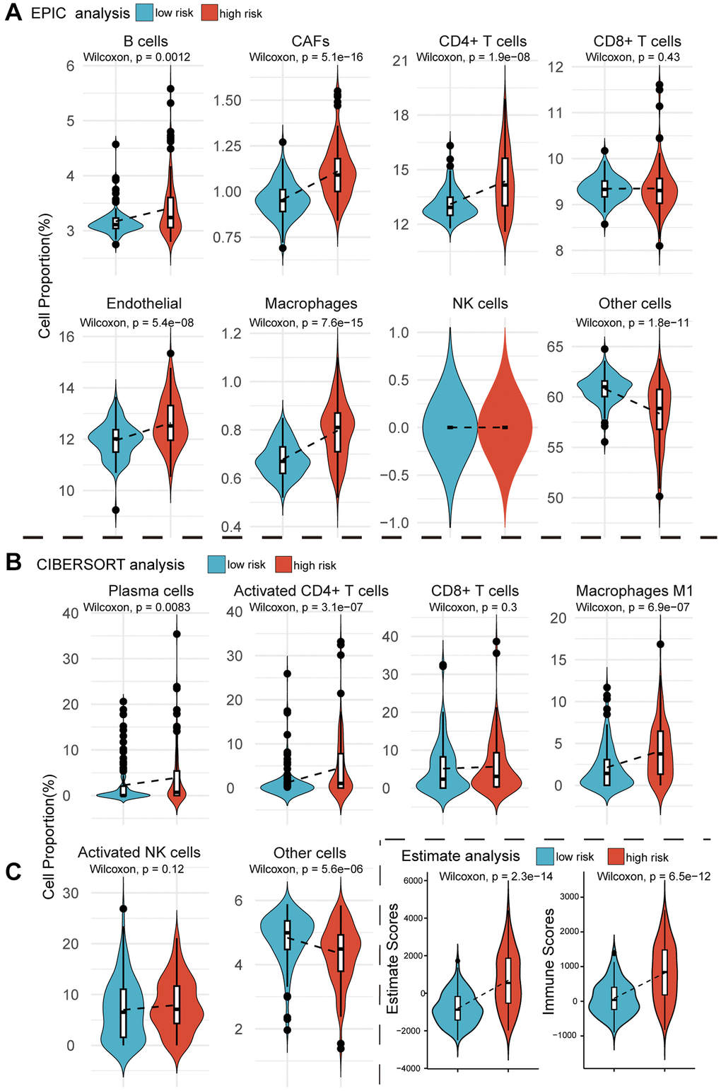 Violin plots reveal the results of cellular infiltration analyses within the GSE32894 expression matrix. (A) The EPIC web tool estimates infiltration scores for B cells, CAFs, CD4+ T cells, CD8+ T cells, endothelial cells, macrophages, NK cells, and other cells in UC tumors from GSE329894, comparing between high and low risk groups based on MPIGs. (B) The CIBERSORT algorithm calculates infiltration scores for immune cells, including plasma cells, activated CD4 T cells, CD8 T cells, macrophages M1, activated NK cells, and other cells involved in EPIC, with comparisons between high and low risk groups derived from MPIGs. (C) Estimate analysis calculates Estimate scores and Immune scores for each patient in GSE32894, comparing between high- and low-risk groups derived from MPIGs.