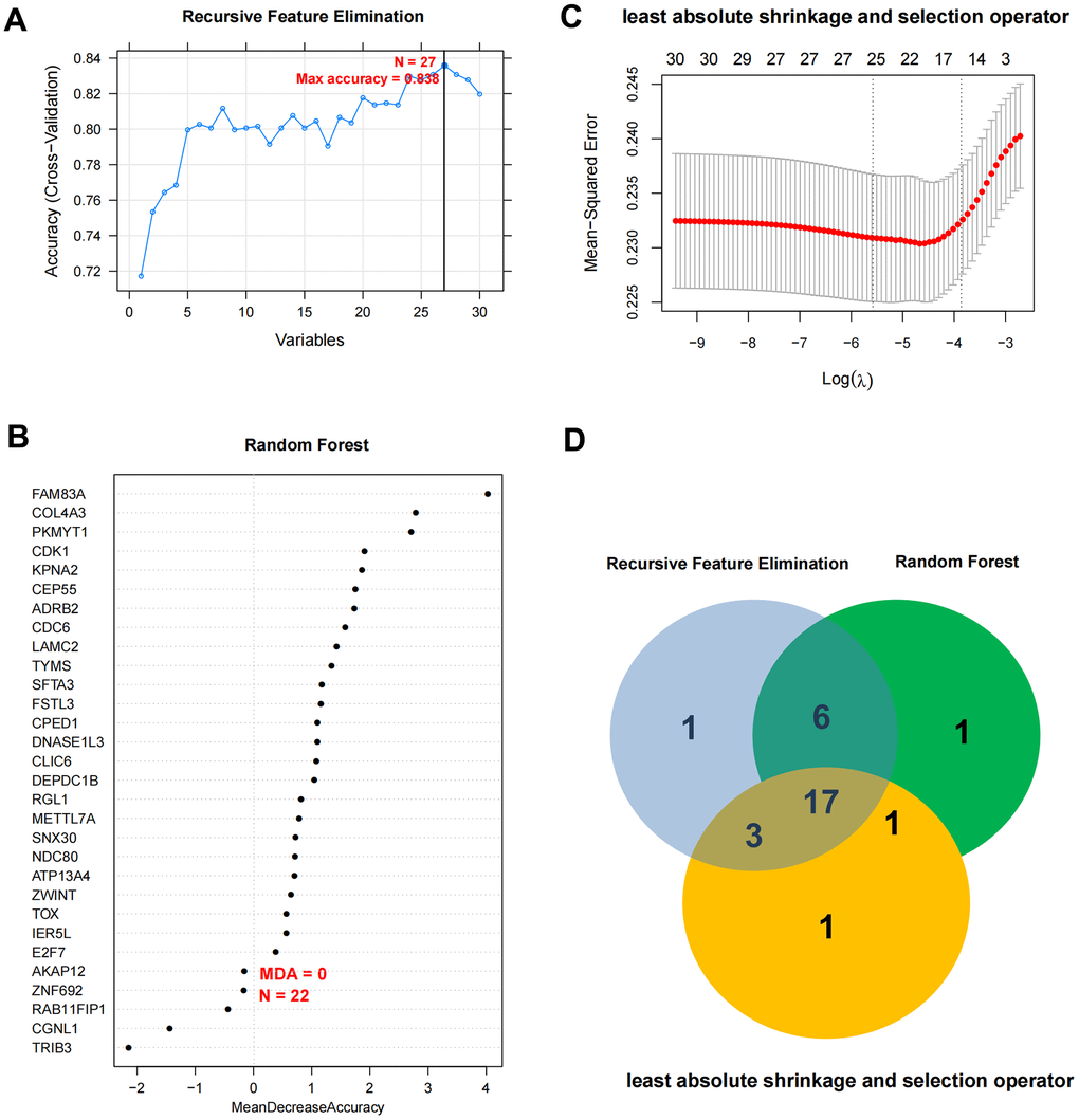 Optimal mRNA marker excavation and nomogram diagnostic model construction. (A–C) Filter characteristic mRNAs parameter diagram of RFE, RF, and LASSO. (D) Comparison chart of characteristic mRNAs combinations filtered by RFE, RF, and LASSO.