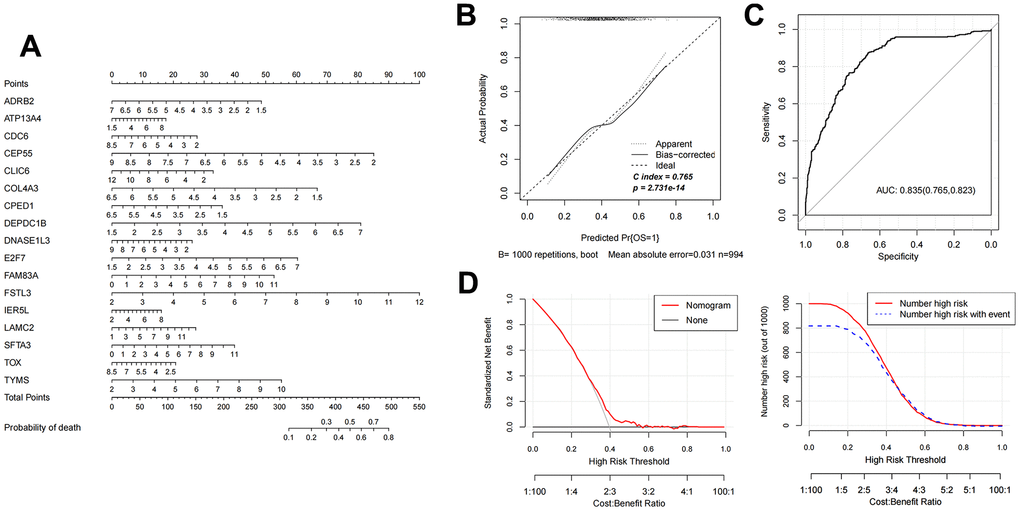 Nomogram diagnostic model construction and evaluation. (A) Nomogram model diagram based on the expression level of 17 characteristic mRNAs in the combined training data set. (B) Nomogram diagnostic model line chart. (C) The ROC value was calculated. (D) Model decision line diagram.