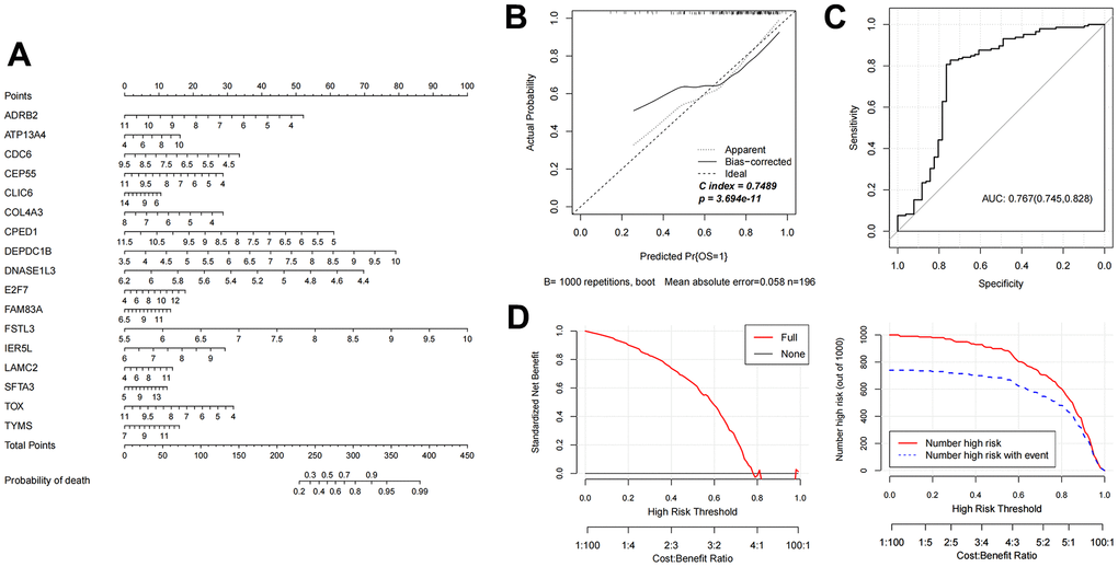 Evaluation of nomogram diagnostic model in GSE37745 dataset. (A) Nomogram model diagram of expression level of mRNAs in GSE37745 validation data set based on 17 features. (B) Nomogram diagnostic model line chart. (C) The ROC value was calculated. (D) Model decision line diagram.
