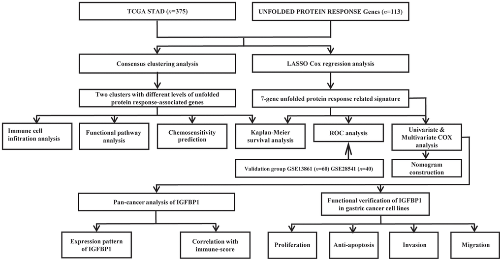 Flow chart of this study design.