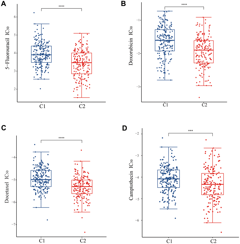 Analysis of drug sensitivity between two subtypes. The difference of IC50 of (A) 5-fluorouracil, (B) doxorubicin, (C) docetaxel, and (D) camptothecin between two subtypes.