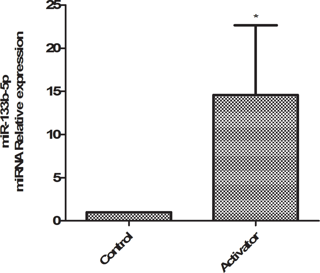 qPCR detects the expression of miR-133b-5p in rat lung tissue.