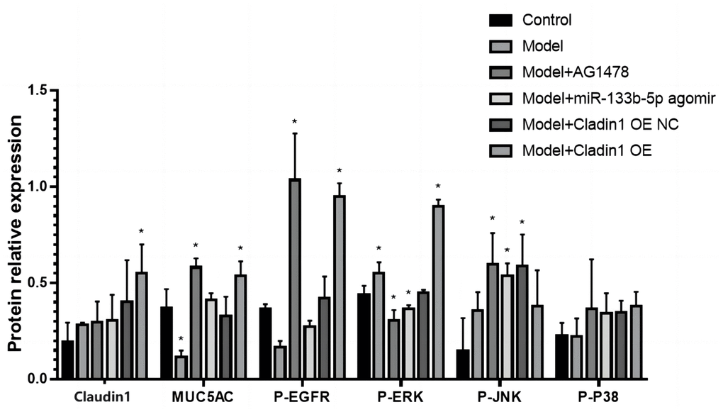 WB detects the expression of proteins associated with lung tissue.