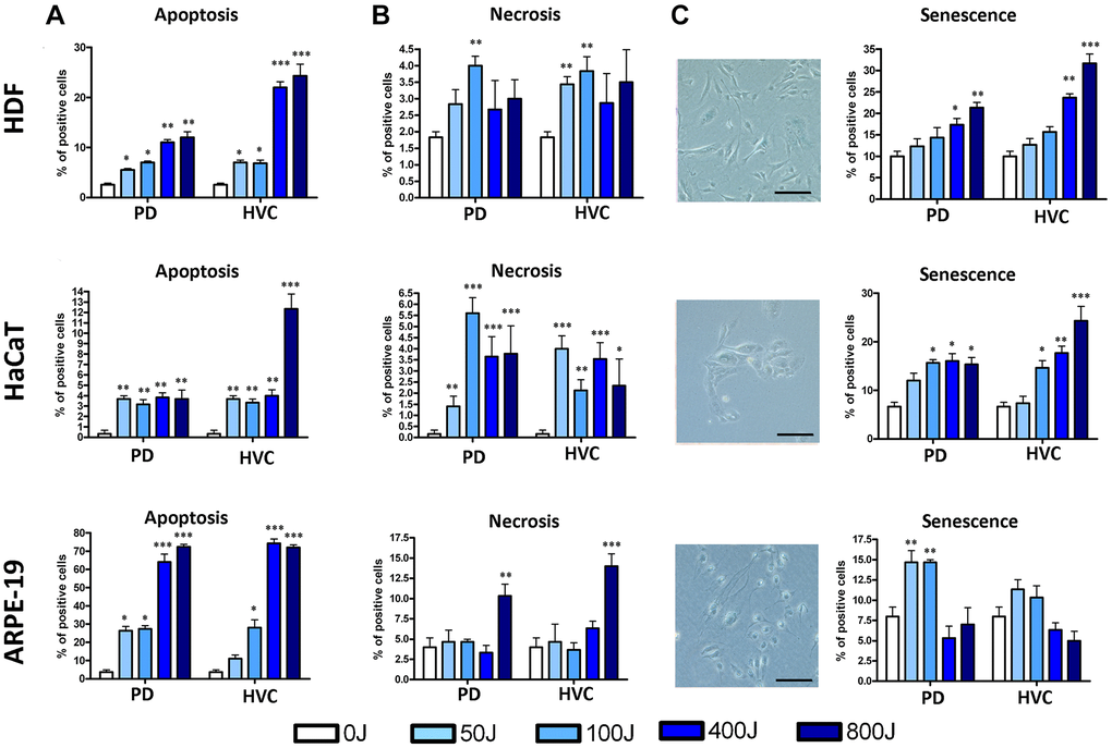 Biological properties of HDF, HaCaT, and ARPE-19 after UV exposure with two different lamp sources: Purple Dawn (PD) and HVC2654025-16W (HVC). (A) The histograms show the percentage of apoptotic cells identified by the Annexin V assay. This staining enabled the classification of cells into four populations: early and late apoptotic cells, live cells, and necrotic cells. In the graph, early and late apoptotic cells were combined as a single group (n = three ± SD) *p **p ***p B) The histograms show the percentage of necrotic cells identified by the Annexin V assay (n = three ± SD). *p **p ***p C) The pictures show representative β-galactosidase staining assay (size bar corresponds to 100 μm). Meanwhile, the histograms show the percentage of senescent cells determined by counting the cells that appear in blue (n = three ± SD). *p **p ***p 