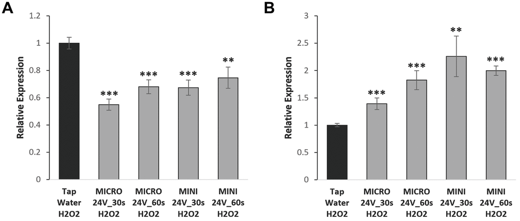 WEW modulates the expression of CXCL-1 in a cell type-dependent fashion. CXCL-1 gene expression was analyzed using qPCR. Relative mRNA level of CXCL-1 gene in BJ senescent cells (A) and T47D senescent cells (B) treated with WEW and compared to senescent cells treated with tap water. The graphs represent the mean ±SEM from three independent experiments. Significance was calculated by a two-tailed Student’s t test. **P P 