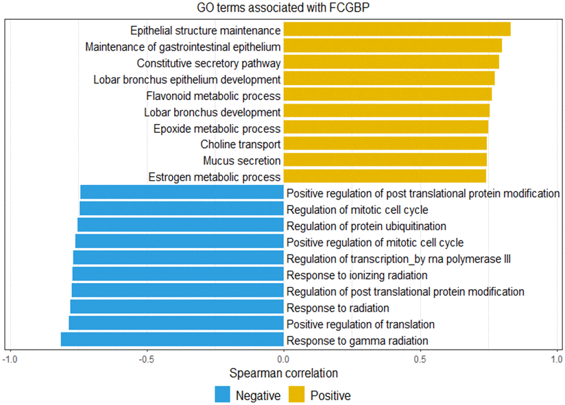 Gene ontology terms representation based on the top 10 positive and negative correlations with FCGBP expression. Yellow indicates positive correlations, and blue indicates negative correlations.