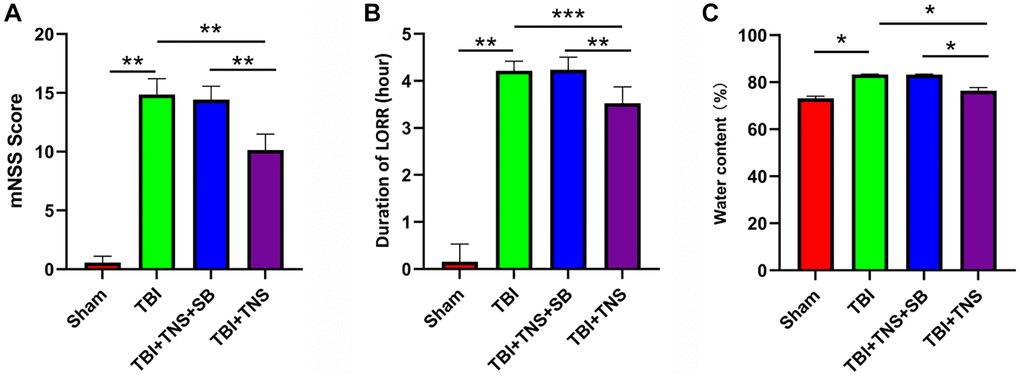 Trigeminal nerve electrical stimulation (TNS) mitigates neurological deficits and cerebral edema. (A, B) Neurological function was analyzed and modified by neurological severity scores (mNSS) and loss of righting reflex test (LORR) after traumatic brain injury (TBI). (C) The brain water content of each group was detected 24 h post-TBI (*P **P ***P 