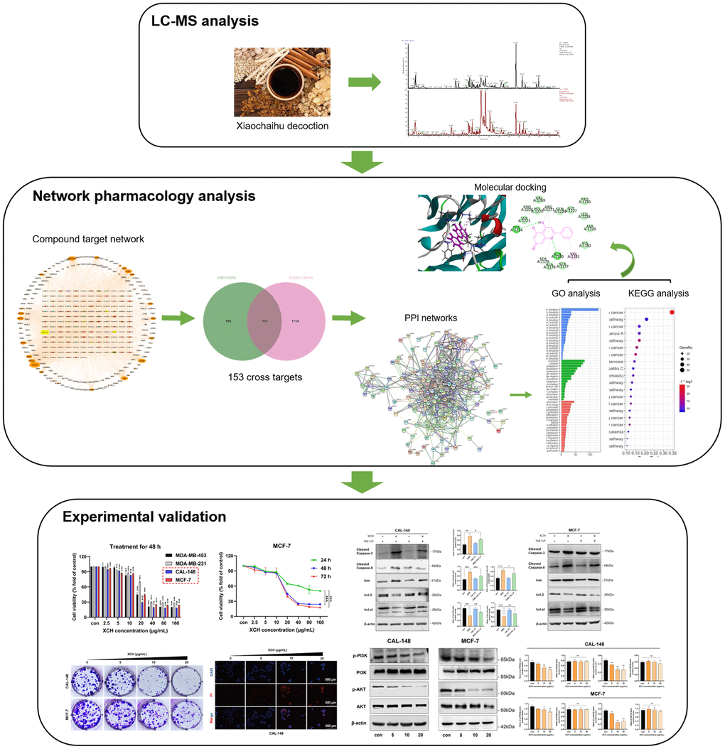Workflow of this research.
