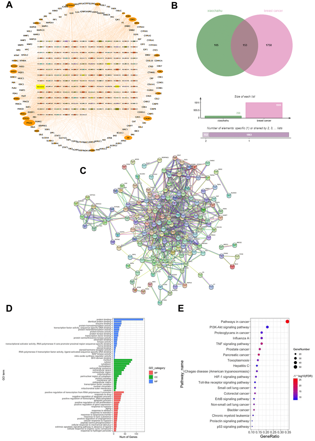 The potential mechanisms of action of the XCH decoction against breast cancer were explored using network pharmacology. (A) Active ingredient-target network of Xiaochaihu decoction; (B) Venn diagram of intersection targets; (C) Protein-protein interaction (PPI) network of Xiaochaihu decoction for breast cancer; (D) GO enrichment analysis; (E) KEGG pathway enrichment analysis.