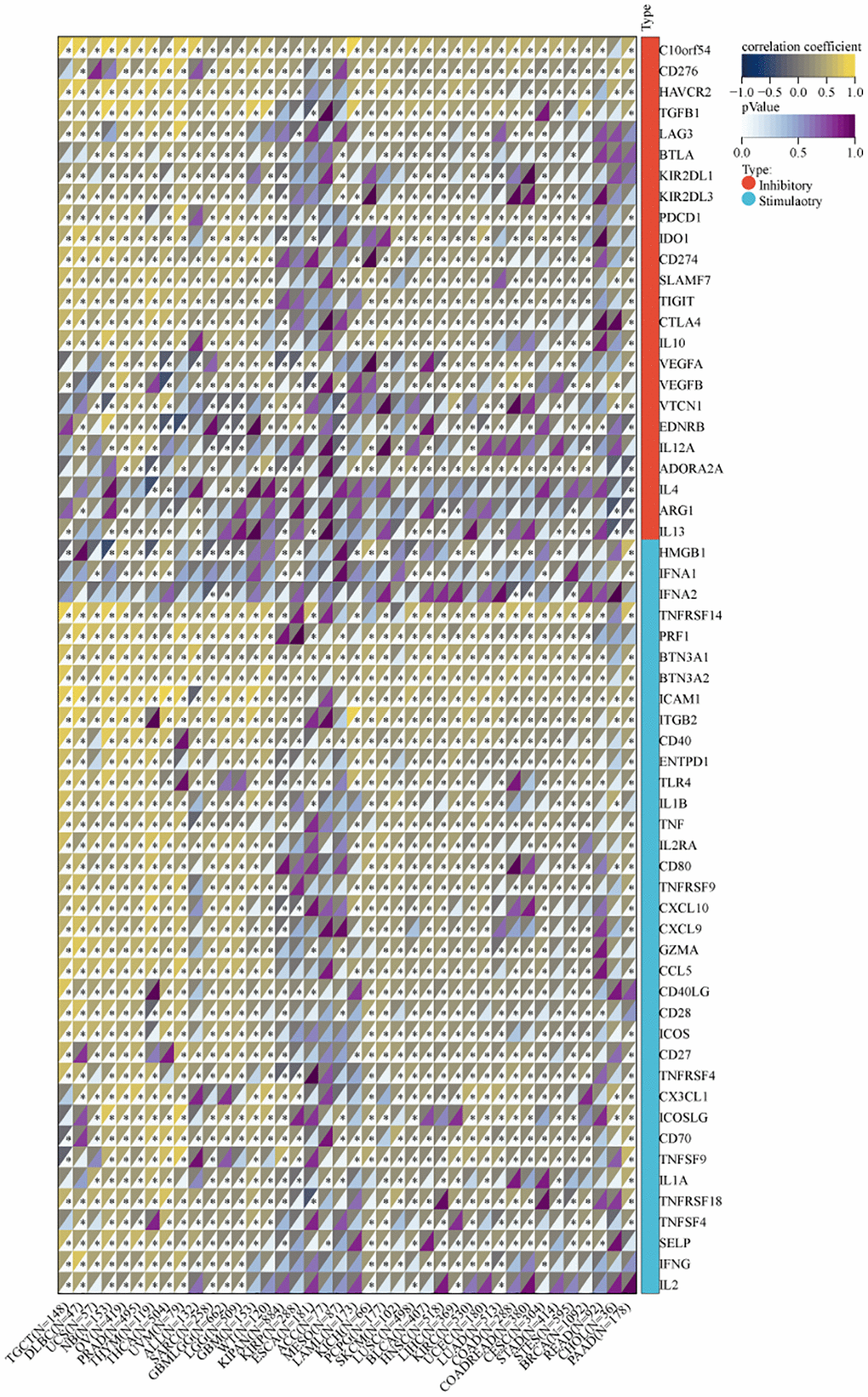 Correlation between MVP and two types of immune checkpoint pathway genes (inhibitory, stimulatory).