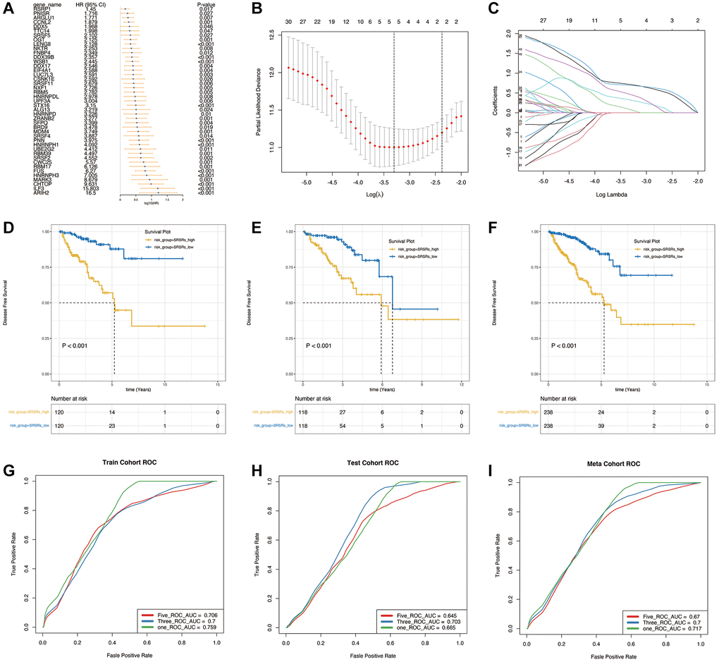 Construction and validation of the prognostic model. (A) Univariate Cox analysis to obtain the prognosis-related genes. (B, C) LASSO regression to construct the prognostic model. (D–F) Survival analysis in the training cohort, validation cohort and the entire meta cohort. (G–I) The prognostic ROC analysis in the training cohort, validation cohort and the entire meta cohort.
