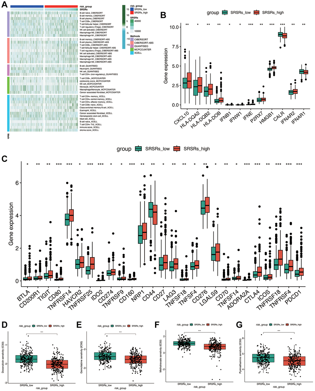 Immune cell infiltration and drug sensitivity analysis. (A) Immune cell infiltration landscape between SRSRs