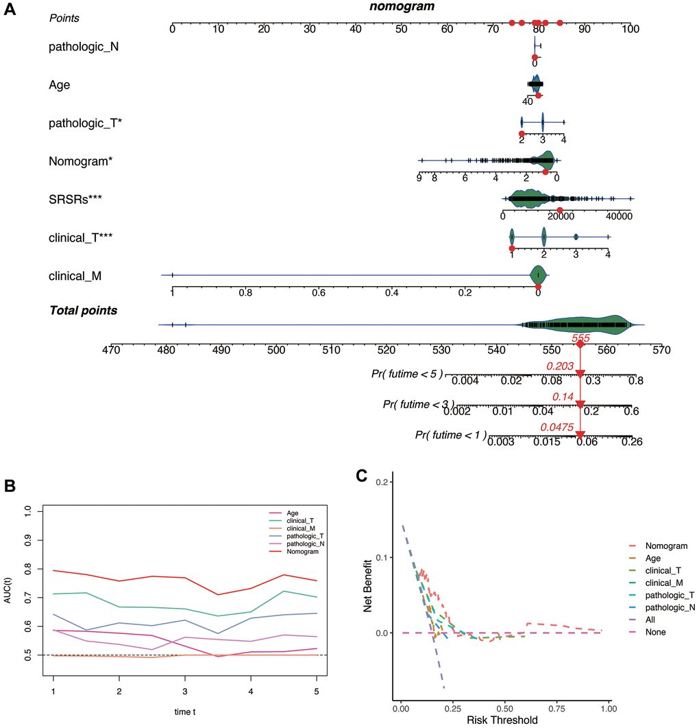 Construction of the nomogram. (A) The 1-, 3-, and 5-year recurrence or mortality rates for patients TCGA-HC-A8D0 in the TCGA database were 0.0475, 0.14, and 0.203. (B) Prognostic ROC curve analysis. (C) Clinical decision benefit curve.