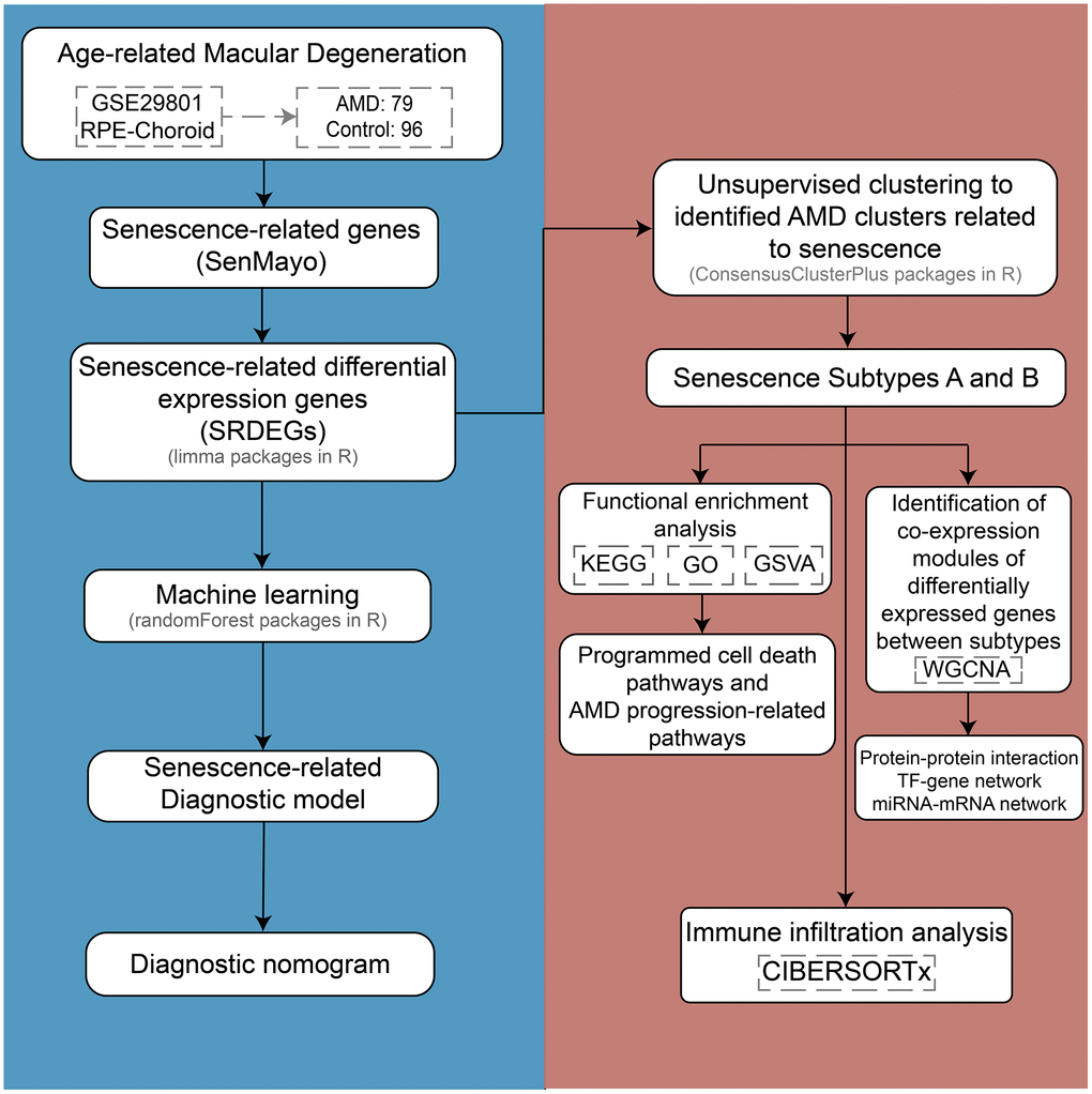 The flowchart of the study design.