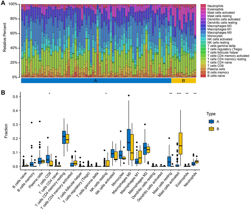 Immune infiltration characteristics of the two subtypes. (A) The relative percent of 22 immune cells of the two subgroups. (B) The different fractions of immune cells in two AMD subgroups. The scattered dots represent the immune cell fraction. The thick lines represent the median value. The bottom and top of the boxes are the 25 and 75 percentiles, respectively. “*” is used to represent significant statistical differences between the two subgroups (*P **P ***P 