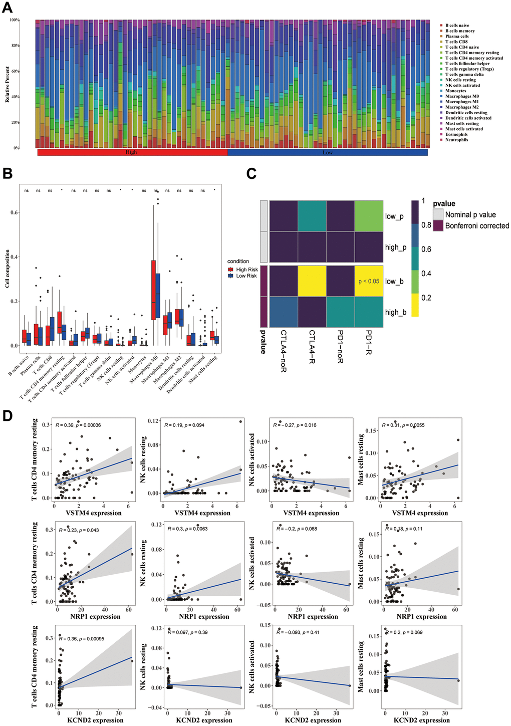 Differences in the immune cells across various groups. (A) The distribution proportion of immune cell abundance across all samples. (B) Differences in the abundance of immune cells between the high-risk and low-risk groups. (C) The correlation between prognostic genes and immune cells displays significant differences between the high-risk and low-risk groups. (D) Employing the SubMap method allowed an indirect estimation of the responsiveness to PD-1 and CTLA-4 immunotherapies in the high-risk and low-risk patient clusters.